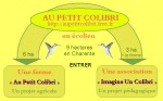 au petit colibri